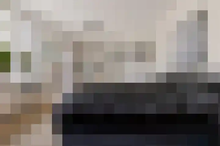 Witte Hoeflaan 9 Oss thumbnail 15