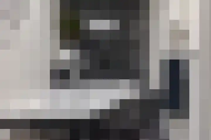 Witte Hoeflaan 9 Oss thumbnail 20