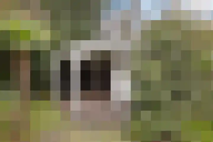 Witte Hoeflaan 9 Oss thumbnail 25