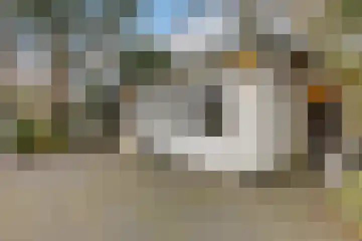 Witte Hoeflaan 9 Oss thumbnail 27