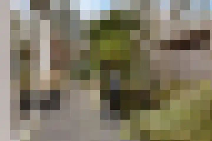Witte Hoeflaan 9 Oss thumbnail 29