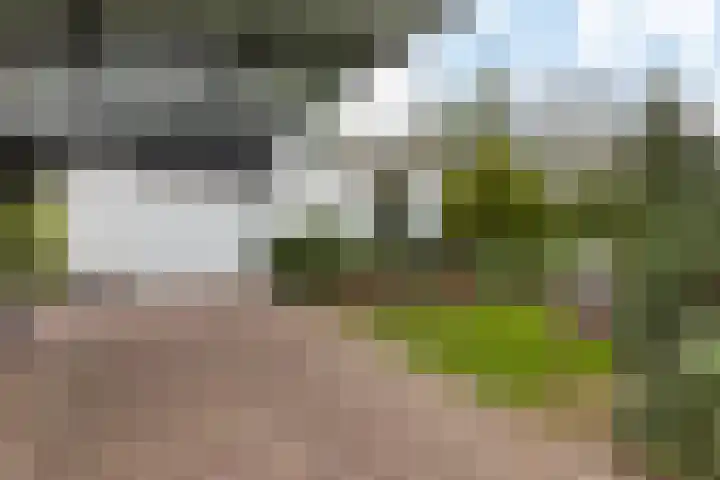 Witte Hoeflaan 9 Oss thumbnail 32