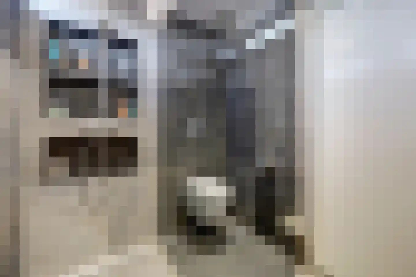 Witte Hoek 10 Hoogvliet Rotterdam thumbnail 15