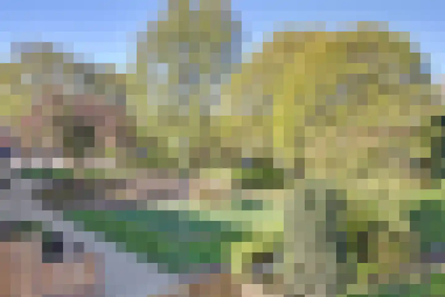 Witte Hoek 10 Hoogvliet Rotterdam thumbnail 22
