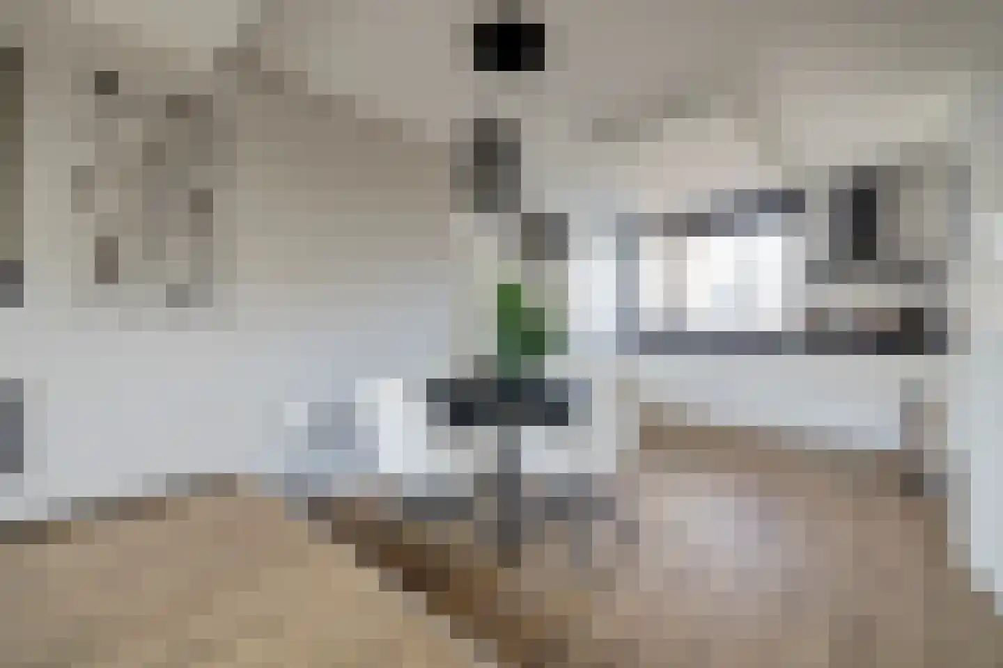 Witte Hoek 10 Hoogvliet Rotterdam thumbnail 6
