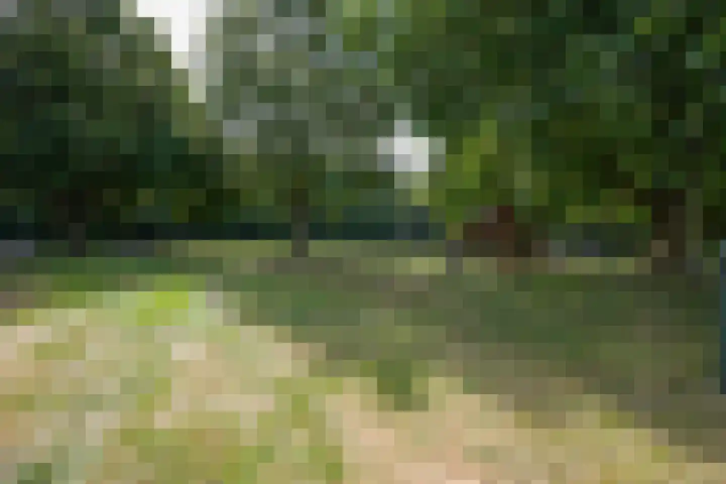 Witte Kastanjelaan 12 Eijsden thumbnail 37