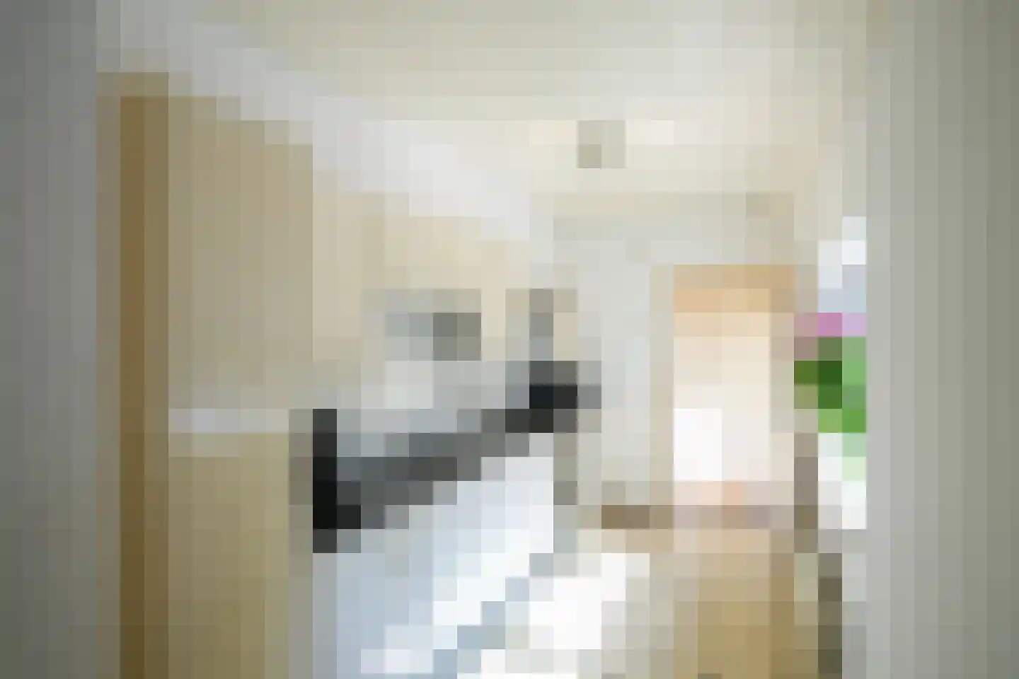 Witte Kastanjelaan 12 Eijsden thumbnail 5
