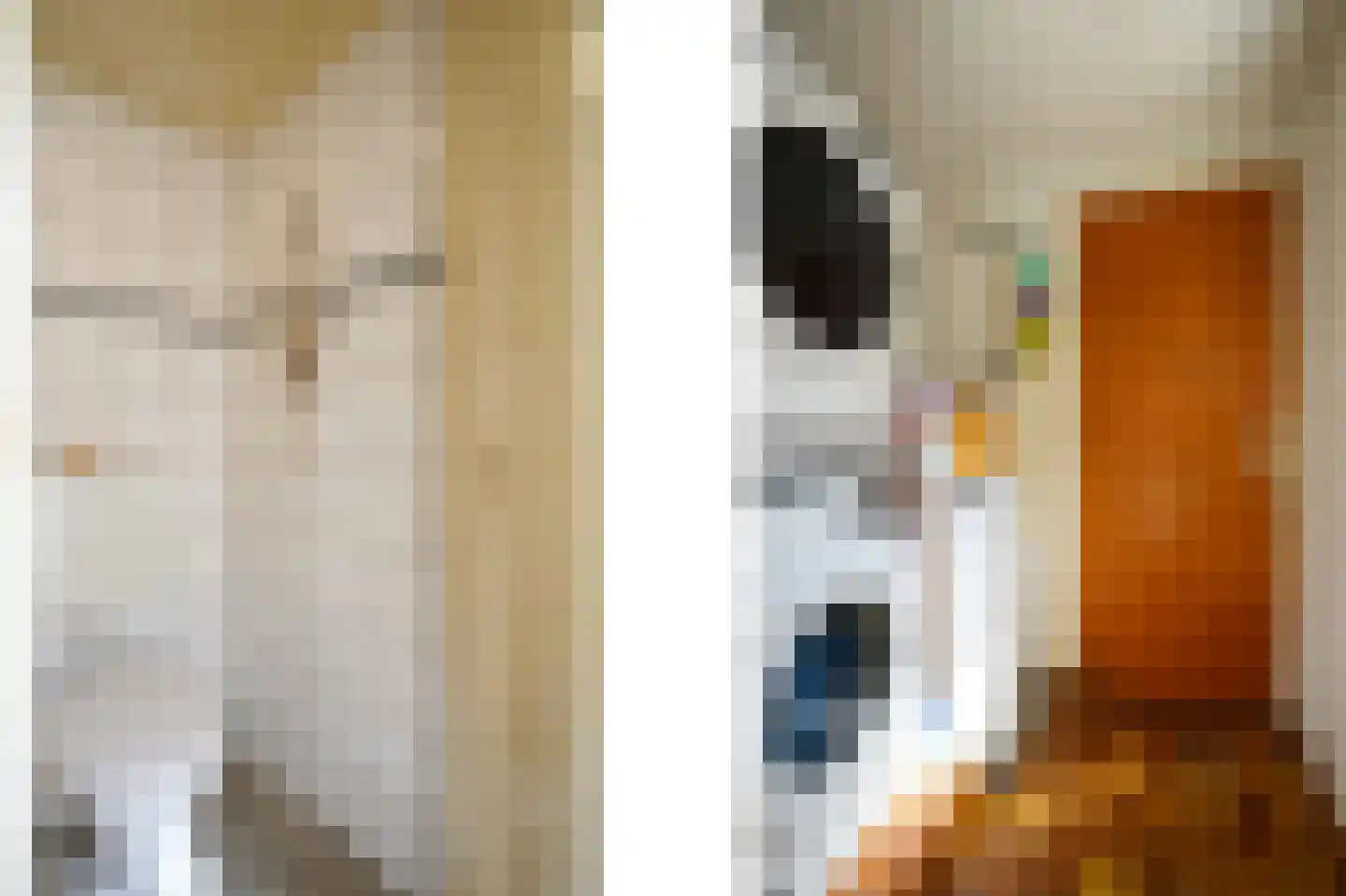 Witte Kastanjelaan 12 Eijsden thumbnail 6
