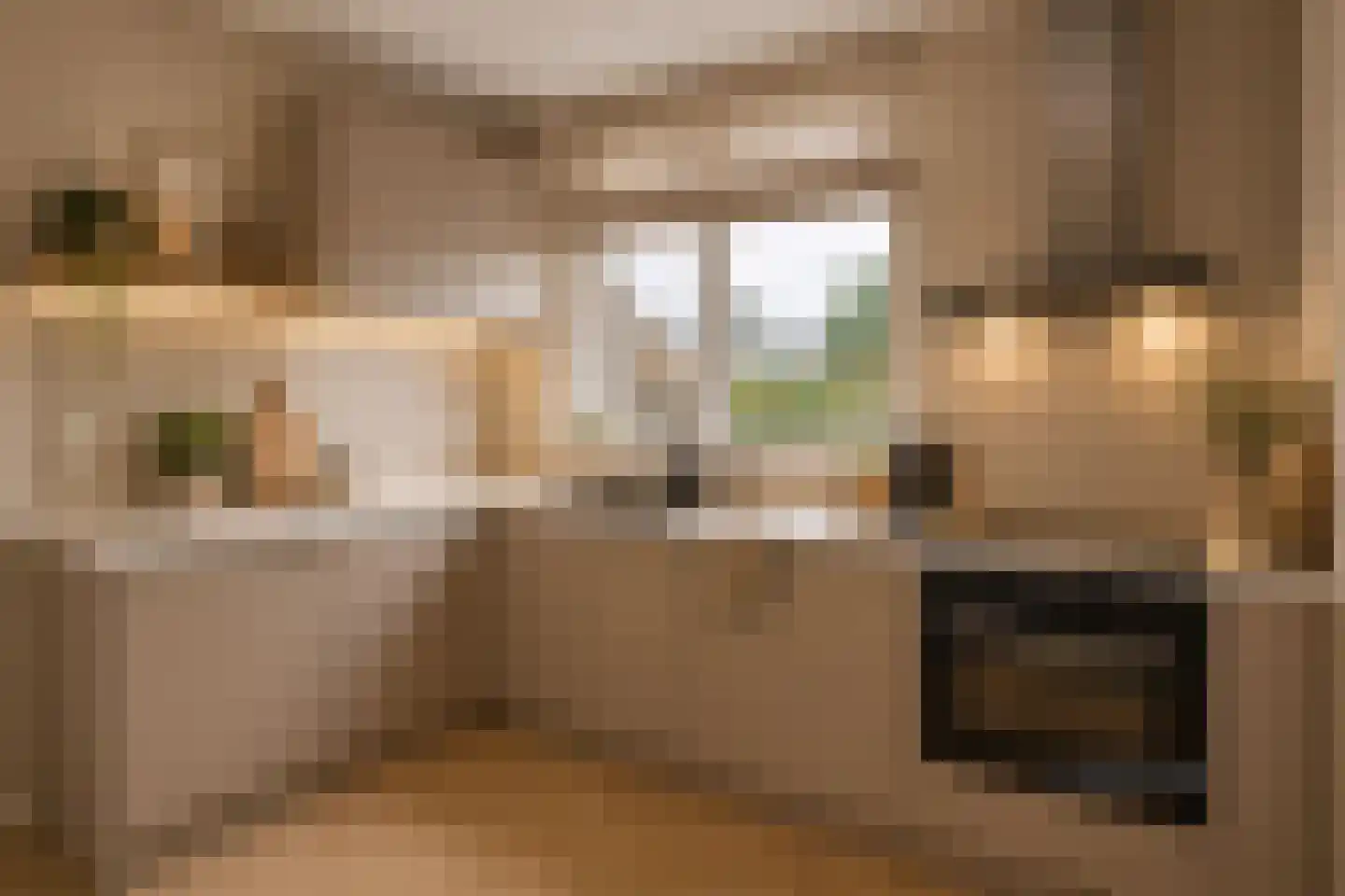 Witte Klaver 11 Rotterdam thumbnail 11