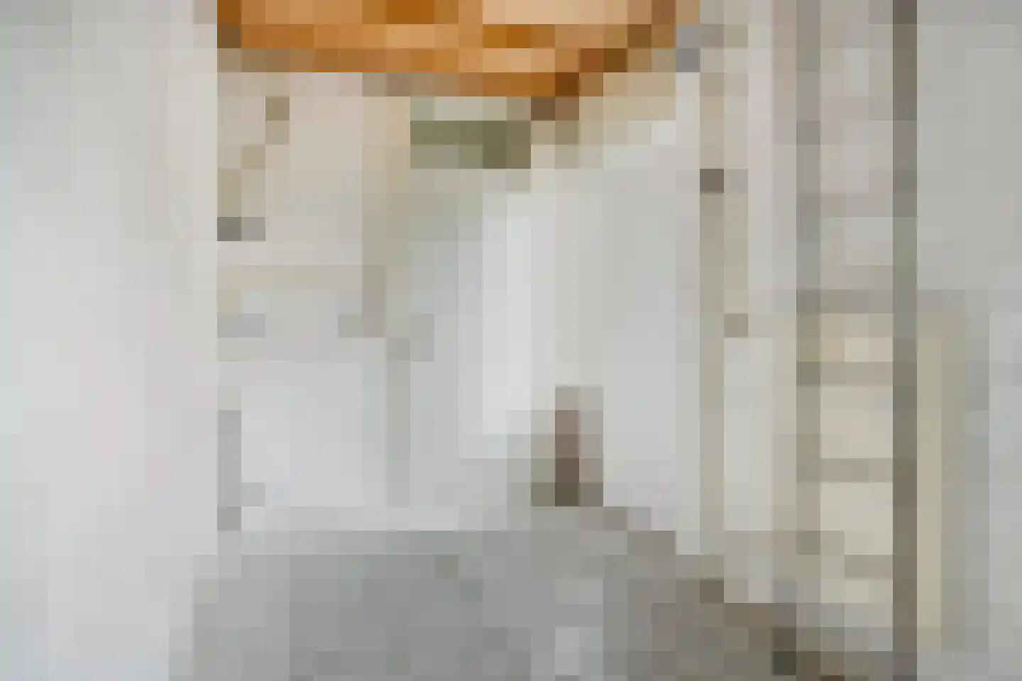 Witte Klaver 11 Rotterdam thumbnail 13