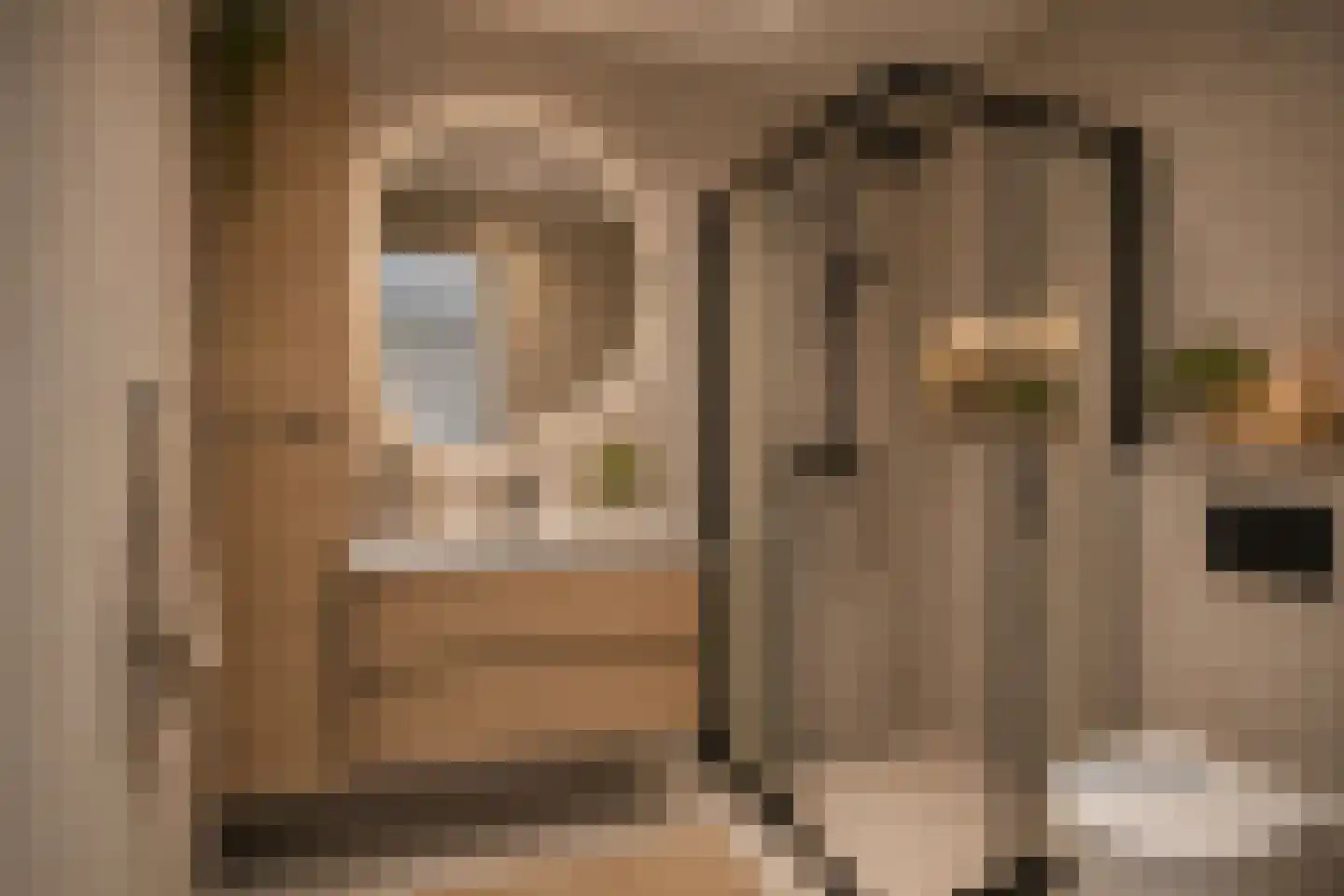 Witte Klaver 11 Rotterdam thumbnail 22