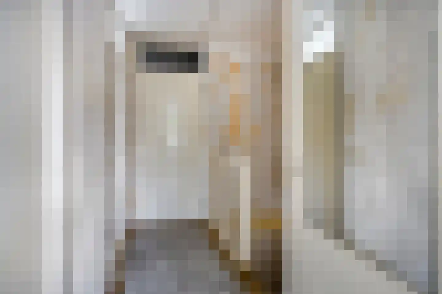 Witte Klaver 11 Rotterdam thumbnail 24