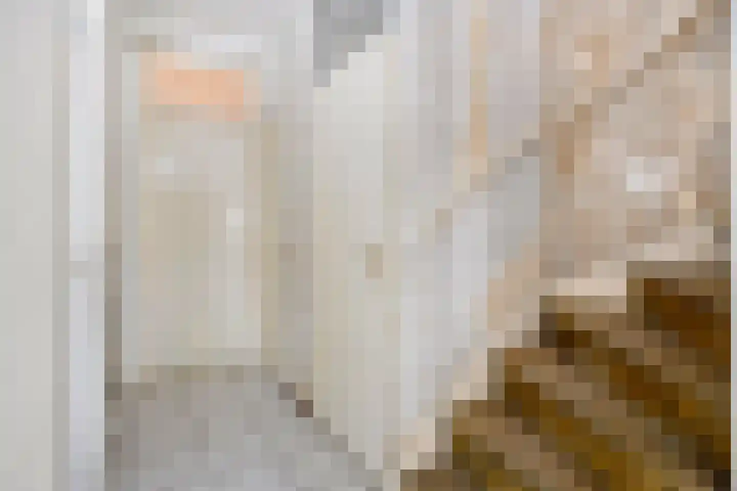 Witte Klaver 11 Rotterdam thumbnail 27