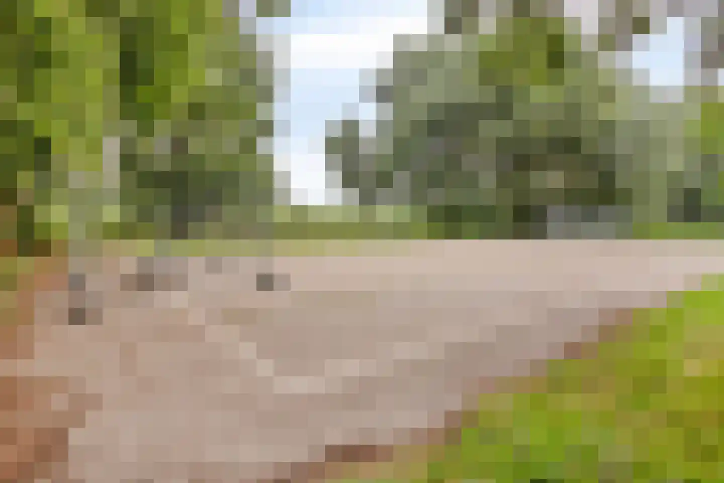Witte Klaver 11 Rotterdam thumbnail 30