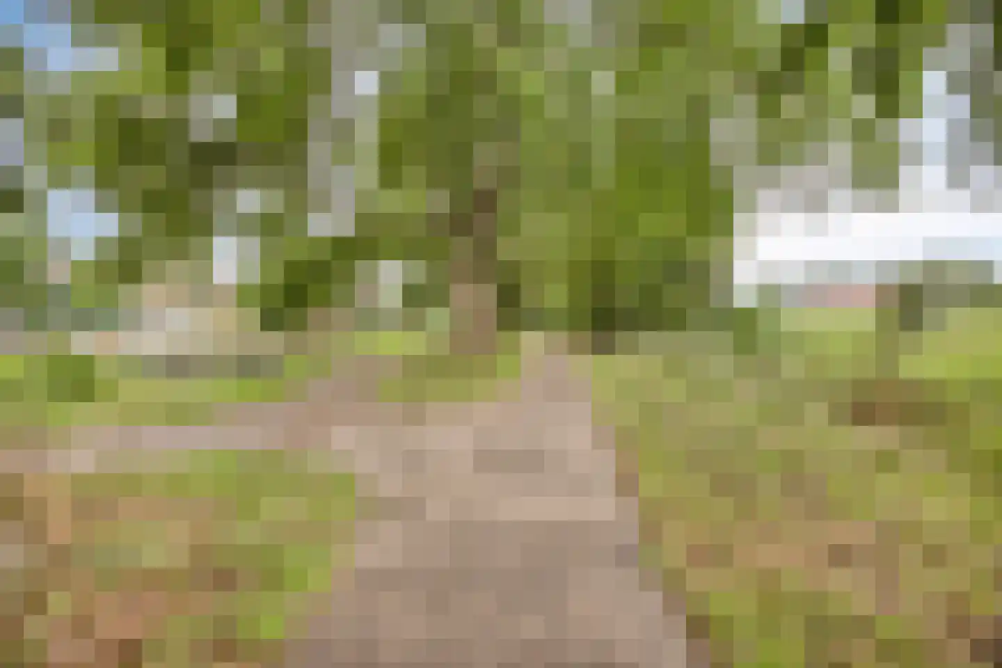 Witte Klaver 11 Rotterdam thumbnail 31