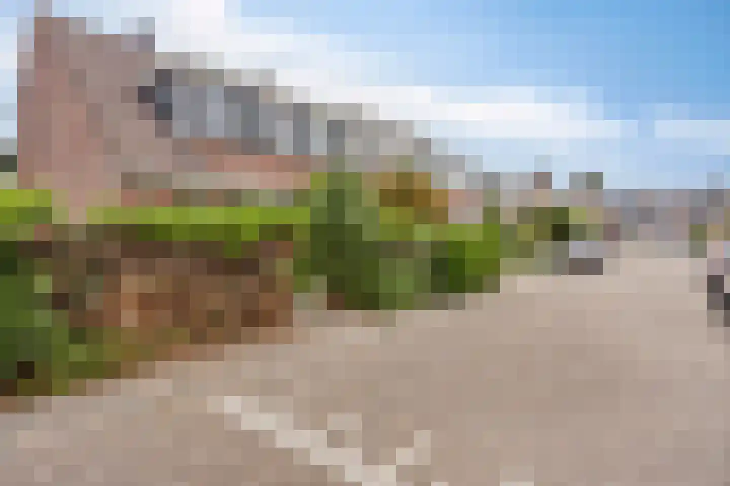 Witte Klaver 11 Rotterdam thumbnail 32