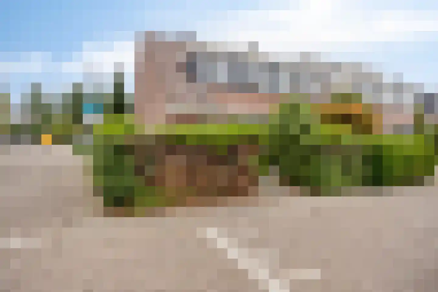 Witte Klaver 11 Rotterdam thumbnail 33