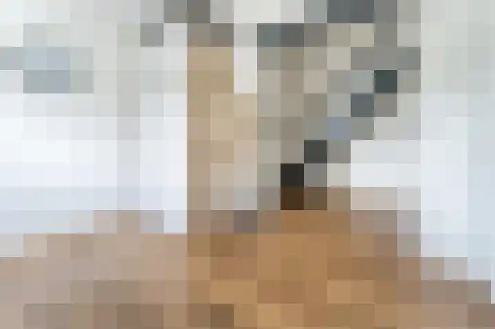 Witte Klaver 11 Woubrugge thumbnail 10