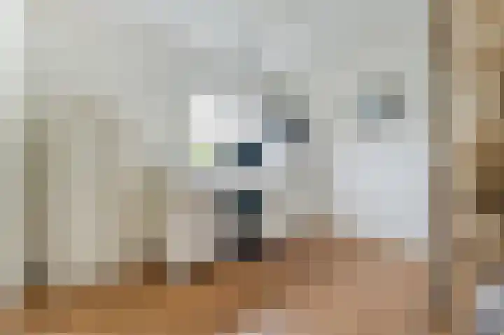 Witte Klaver 11 Woubrugge thumbnail 13