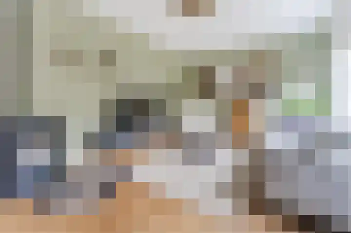 Witte Klaver 11 Woubrugge thumbnail 14