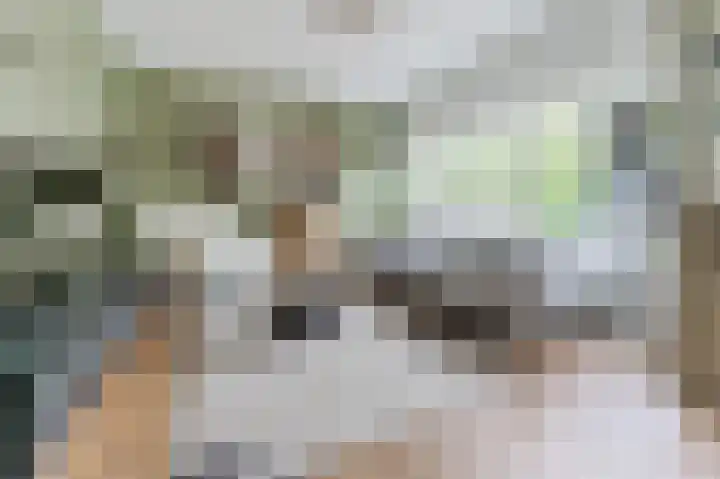 Witte Klaver 11 Woubrugge thumbnail 15