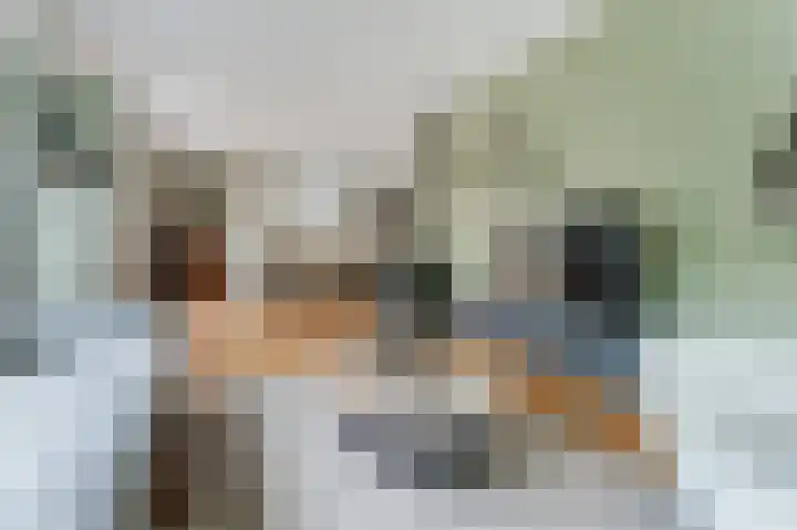 Witte Klaver 11 Woubrugge thumbnail 16