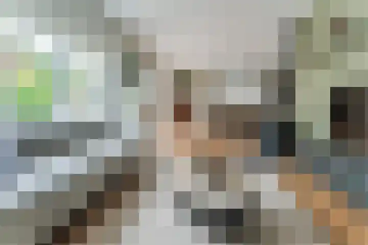 Witte Klaver 11 Woubrugge thumbnail 17