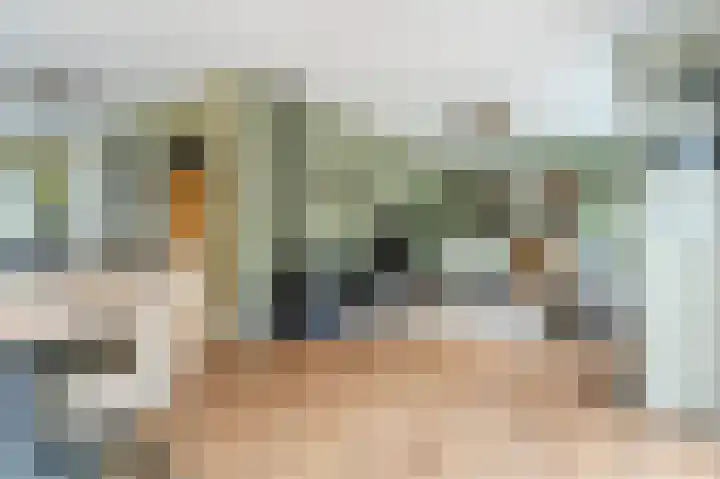 Witte Klaver 11 Woubrugge thumbnail 18