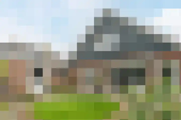 Witte Klaver 11 Woubrugge foto 2