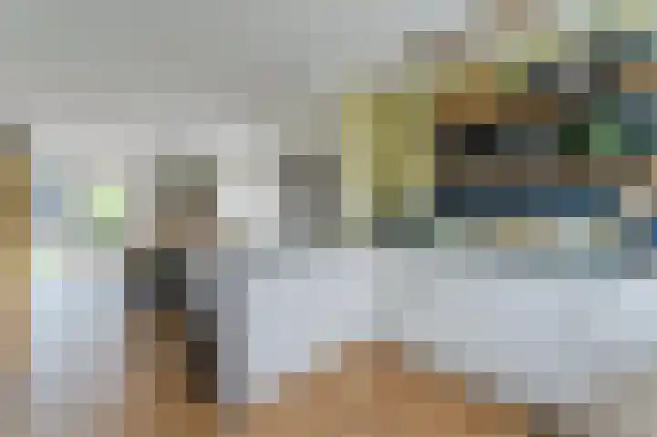 Witte Klaver 11 Woubrugge thumbnail 23