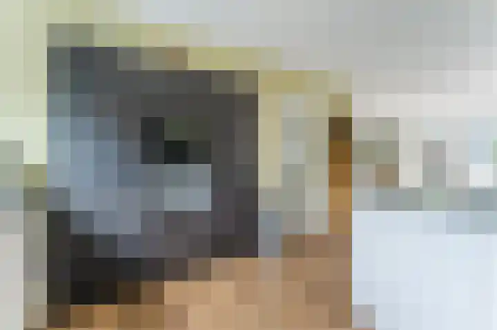 Witte Klaver 11 Woubrugge thumbnail 24