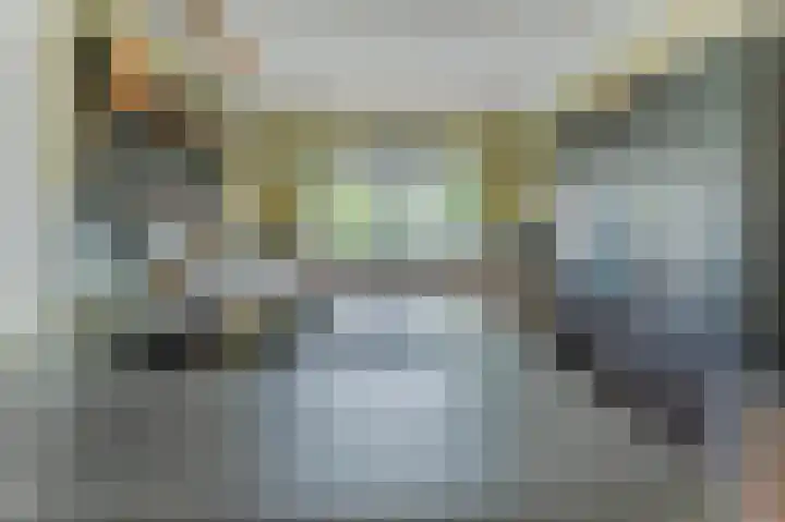 Witte Klaver 11 Woubrugge thumbnail 27