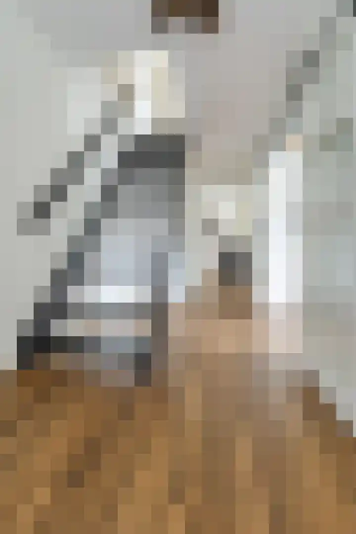 Witte Klaver 11 Woubrugge thumbnail 28