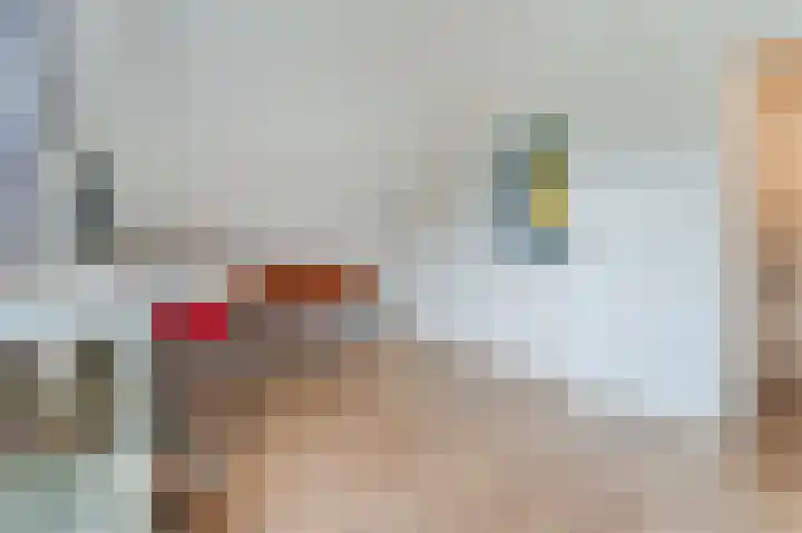 Witte Klaver 11 Woubrugge thumbnail 34