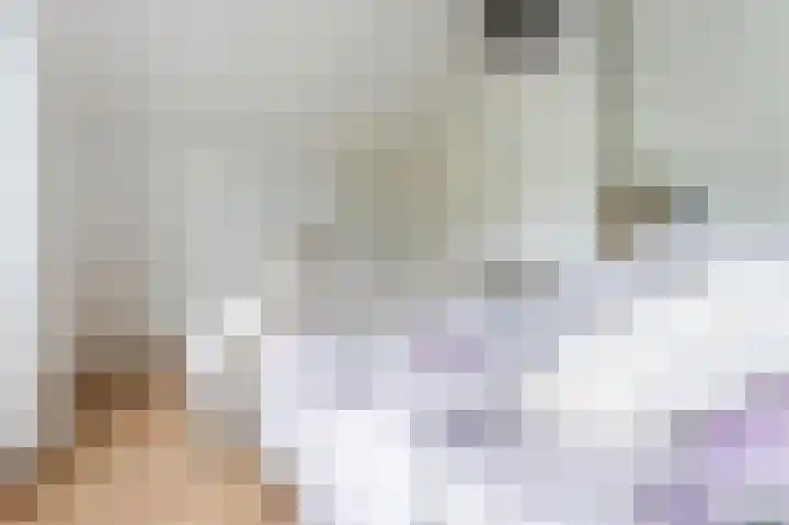 Witte Klaver 11 Woubrugge thumbnail 39
