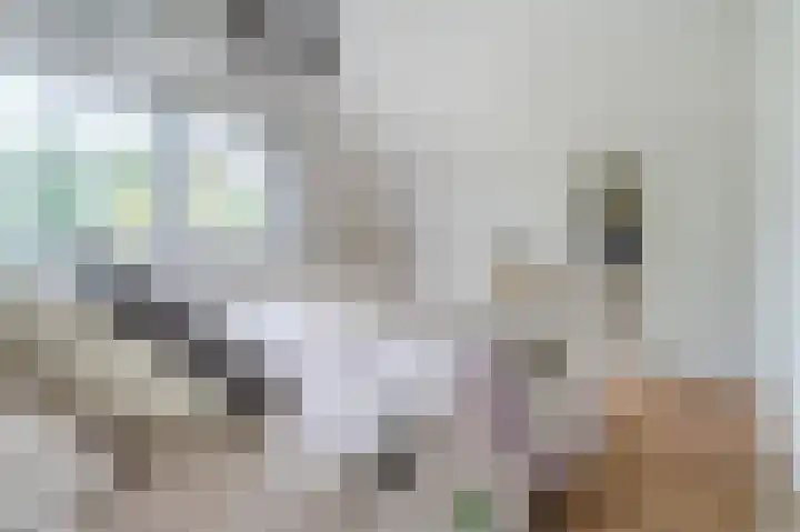 Witte Klaver 11 Woubrugge thumbnail 40
