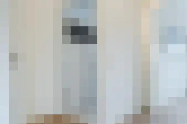 Witte Klaver 11 Woubrugge thumbnail 41