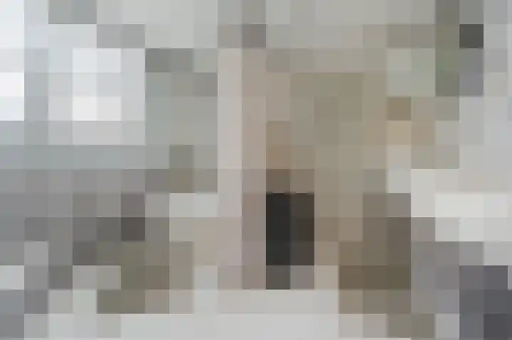 Witte Klaver 11 Woubrugge thumbnail 42