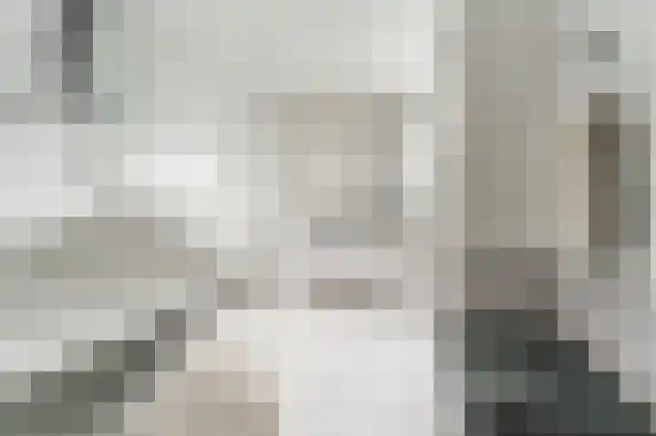 Witte Klaver 11 Woubrugge thumbnail 43