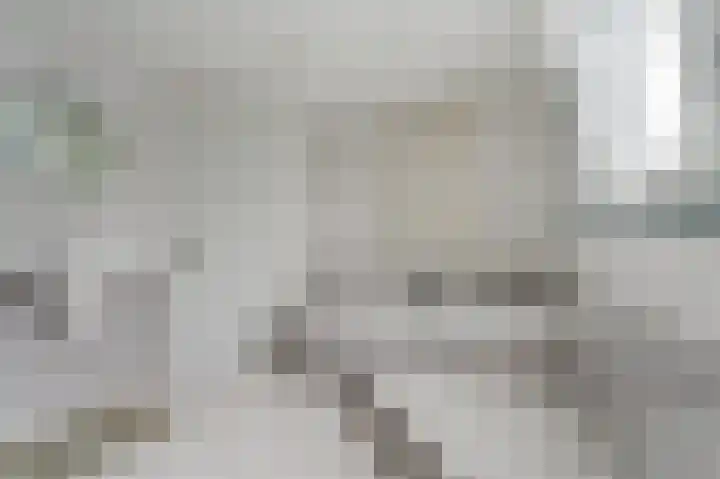 Witte Klaver 11 Woubrugge thumbnail 45