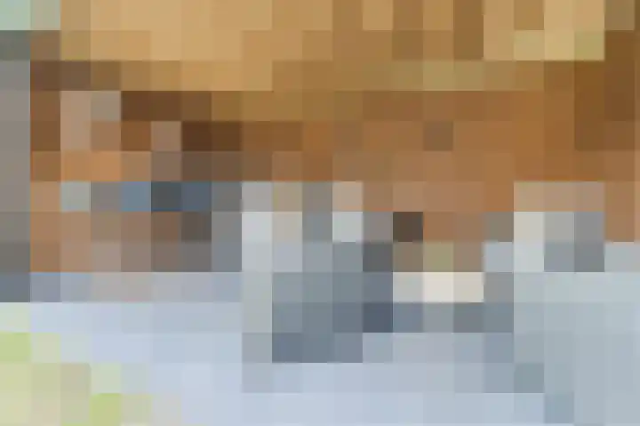 Witte Klaver 11 Woubrugge thumbnail 46