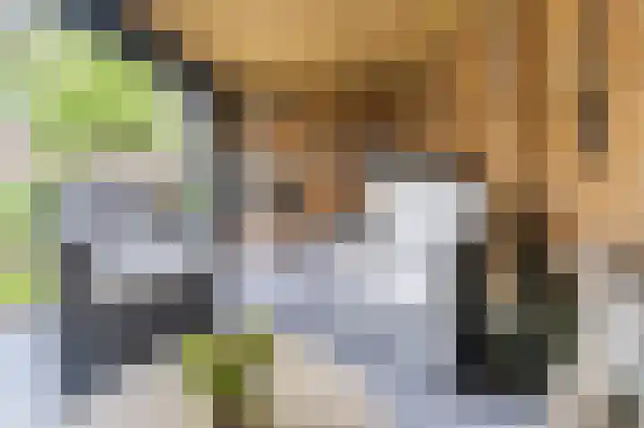 Witte Klaver 11 Woubrugge thumbnail 47
