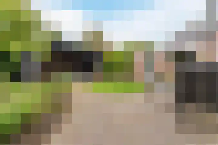 Witte Klaver 11 Woubrugge thumbnail 50