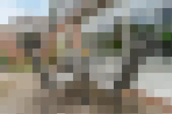 Witte Klaver 11 Woubrugge thumbnail 51
