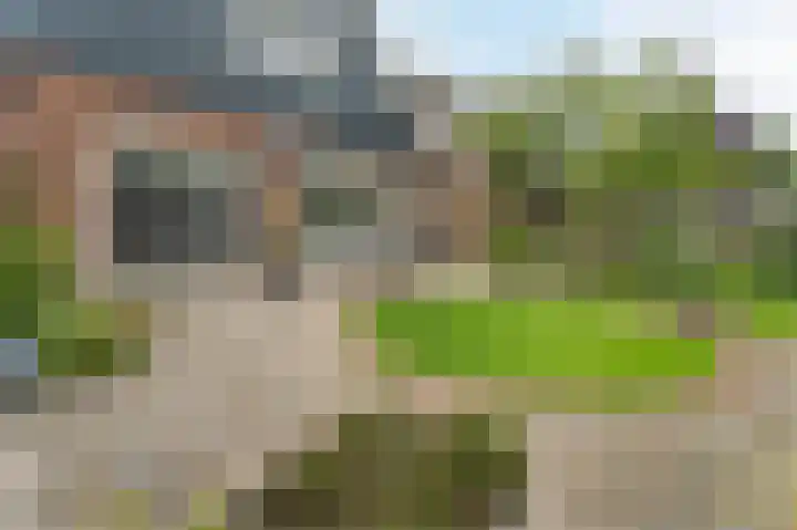 Witte Klaver 11 Woubrugge thumbnail 53