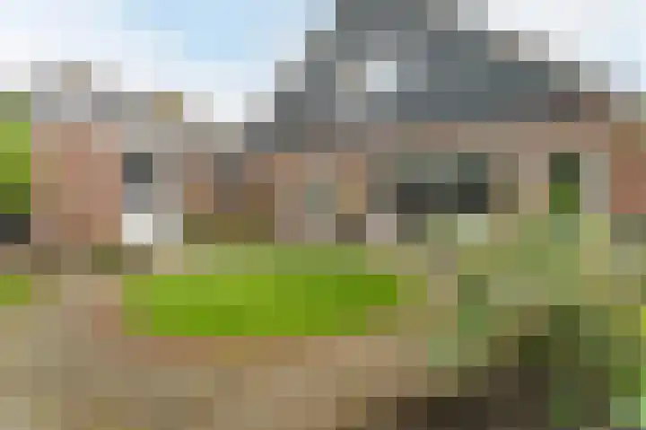 Witte Klaver 11 Woubrugge thumbnail 54