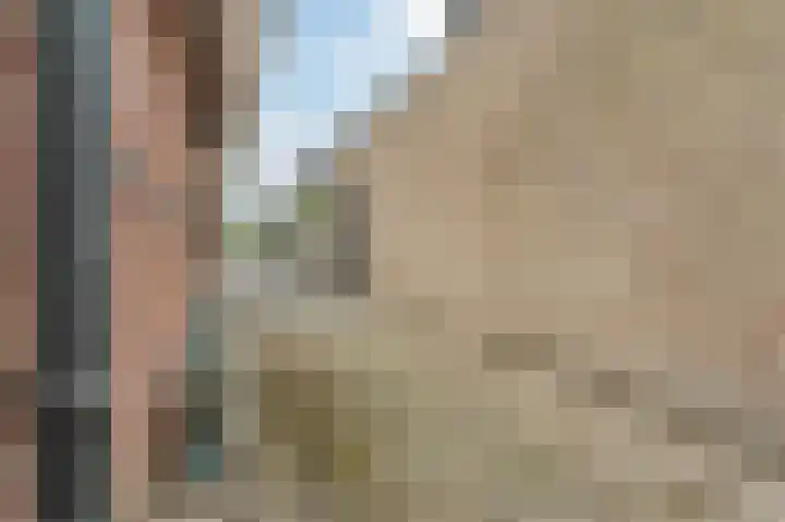 Witte Klaver 11 Woubrugge thumbnail 55