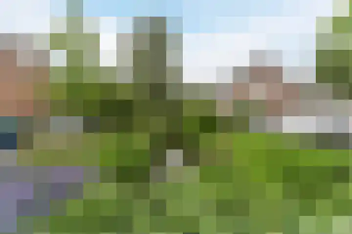 Witte Klaver 11 Woubrugge thumbnail 56