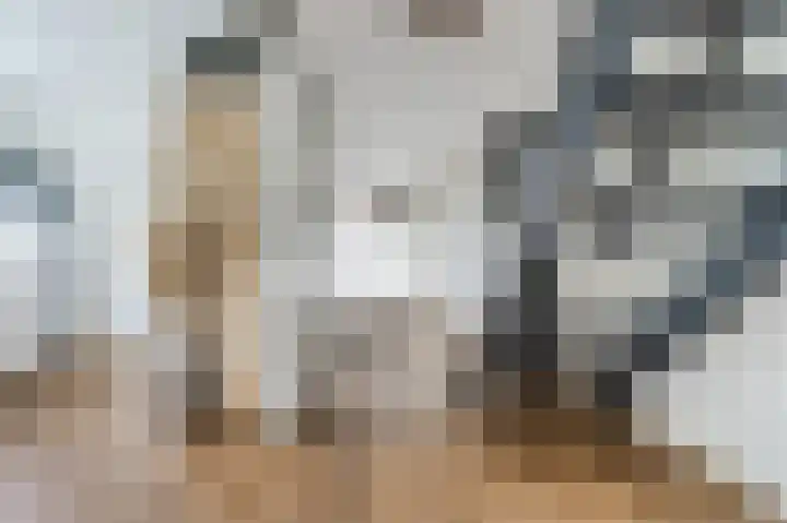 Witte Klaver 11 Woubrugge thumbnail 9
