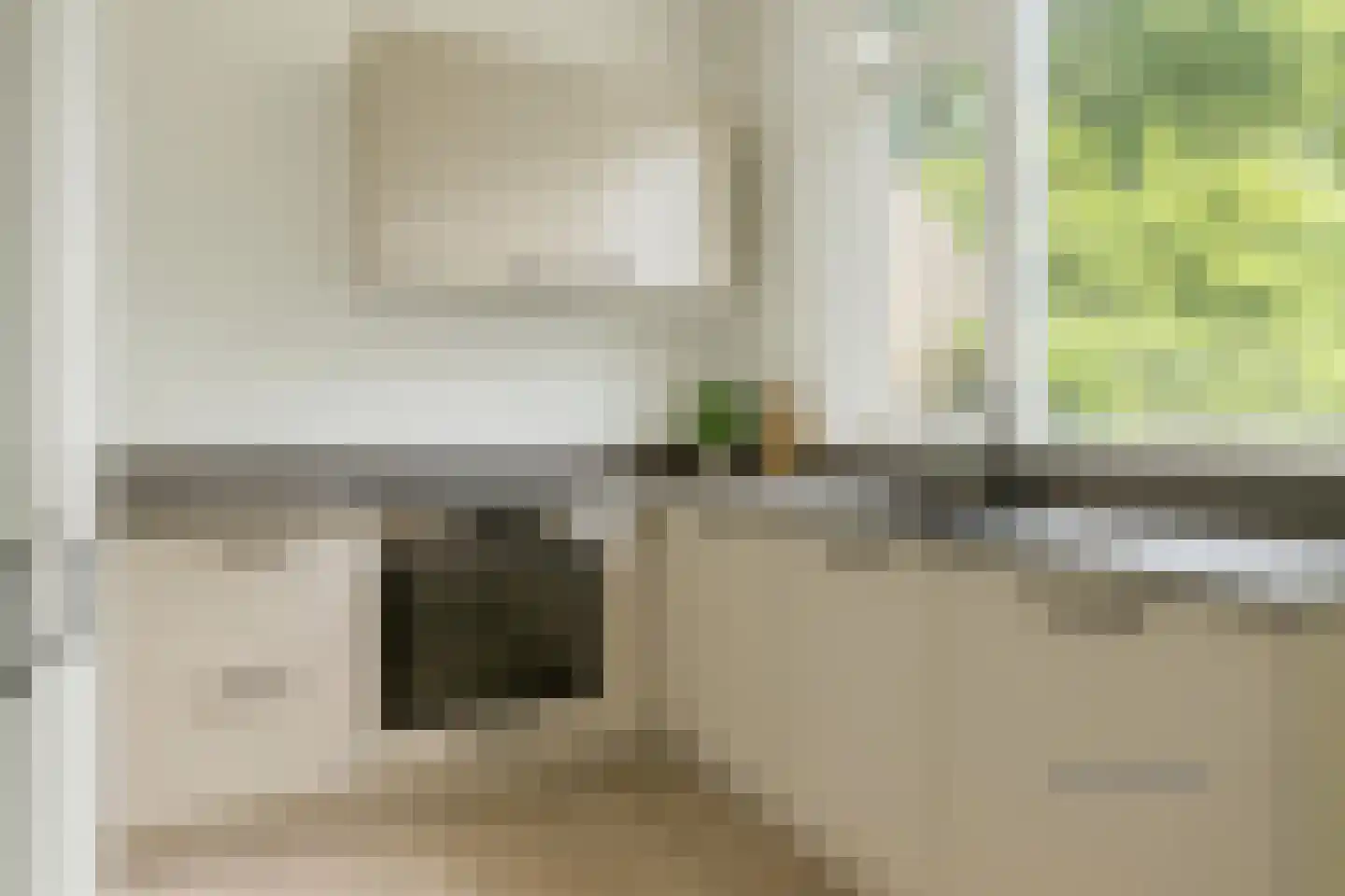 Witte Klaver 23 Rotterdam thumbnail 12